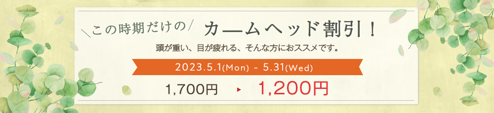 この時期だけのカ—ムヘッド割引！